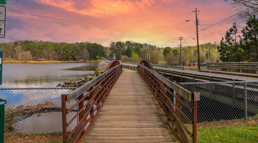 Paseo junto al río Murphy