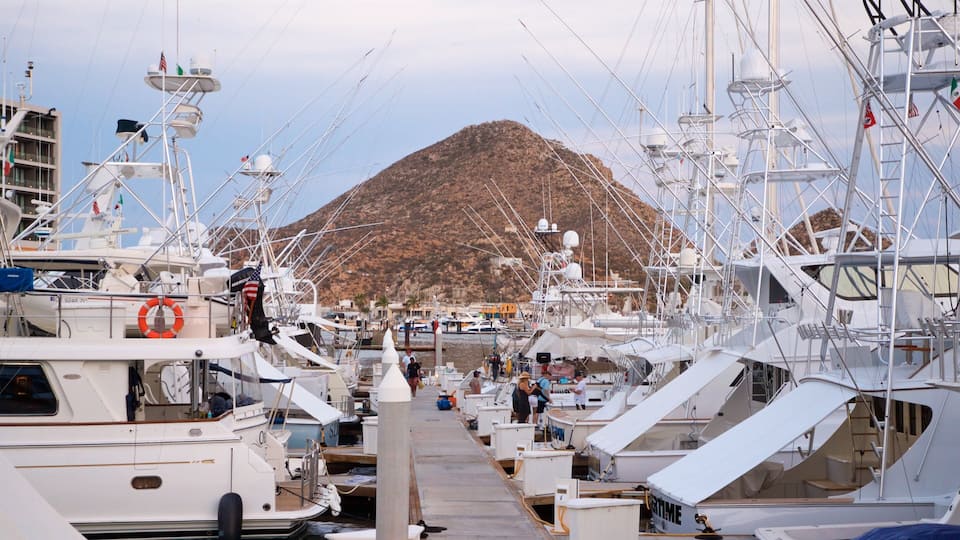 A marina with numerous sailboats docked, a lifebuoy, and a mountainous backdrop.