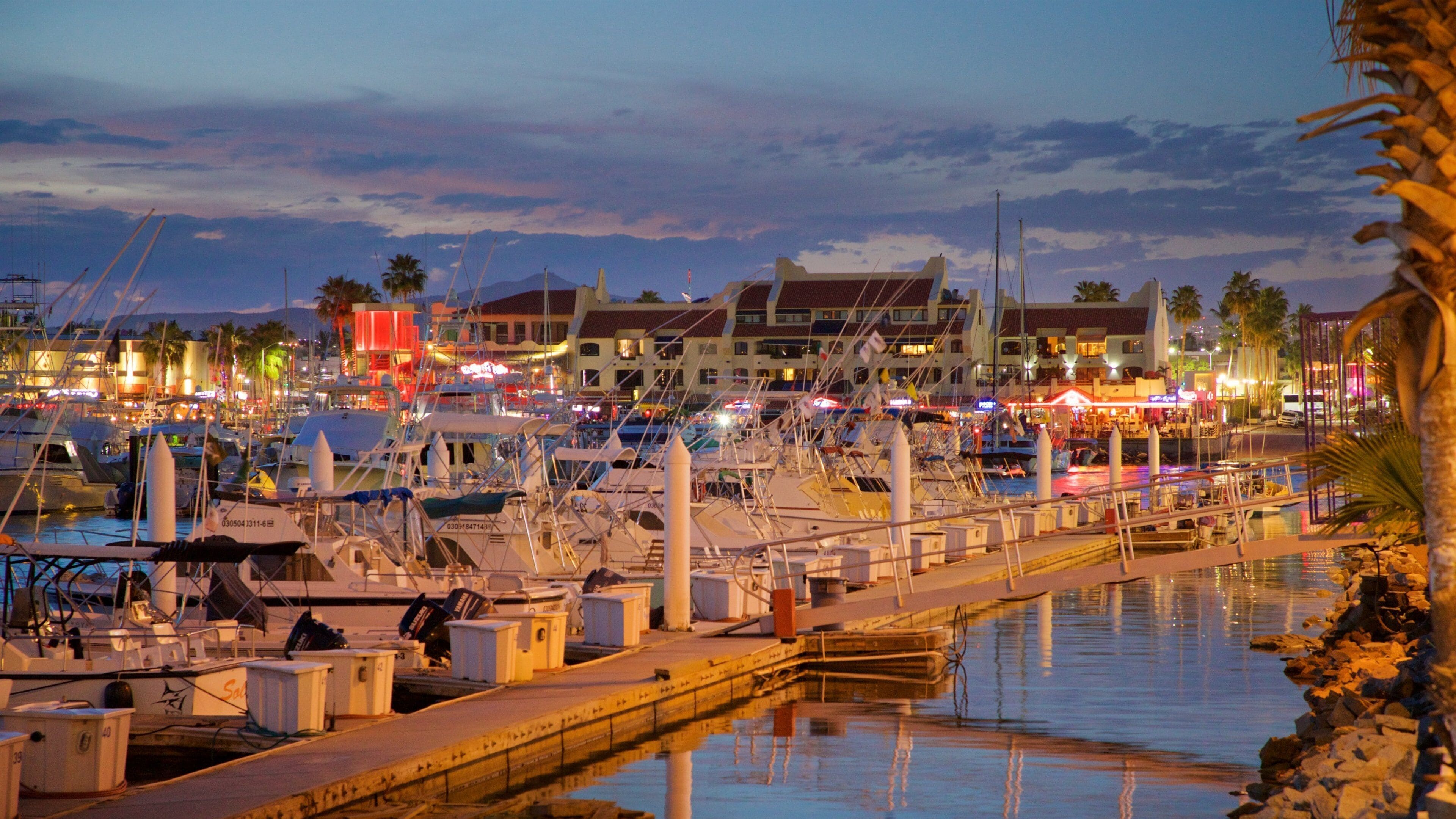 Marina which includes a bay or harbor and a sunset