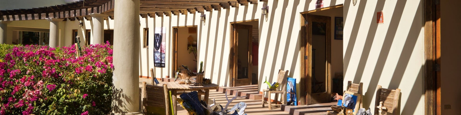 Tropic of Cancer Monument featuring flowers
