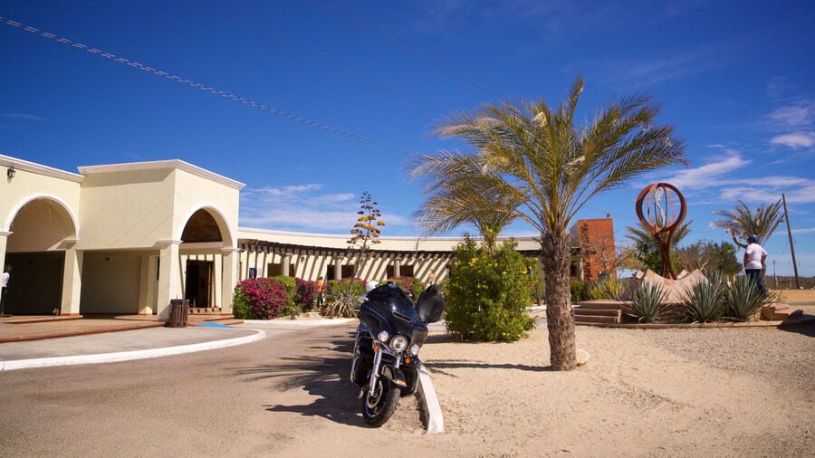 Tropic of Cancer Monument which includes a sandy beach