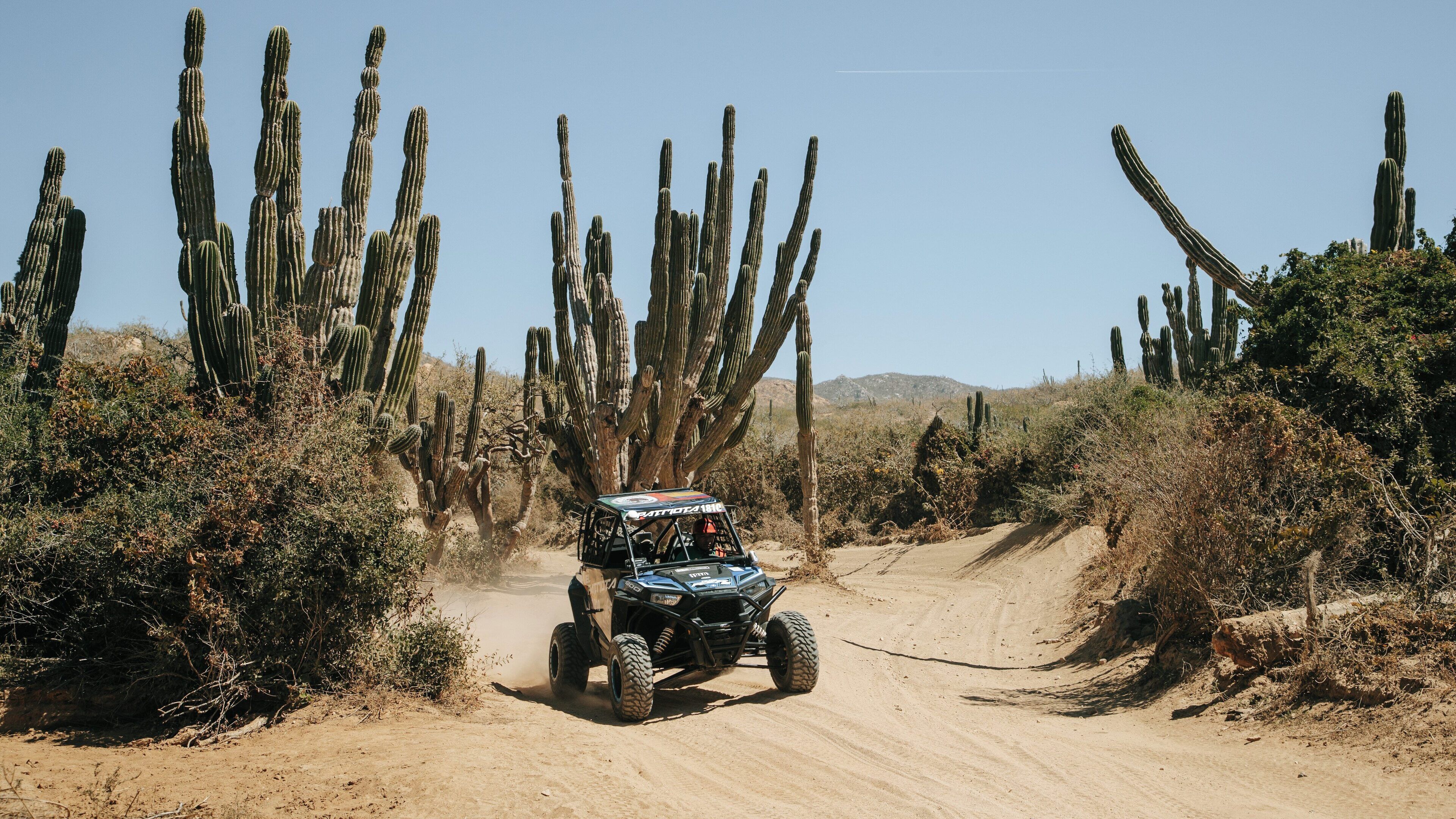 Paisaje desértico con cactus altos y un vehículo 4x4 circulando por un camino de tierra.