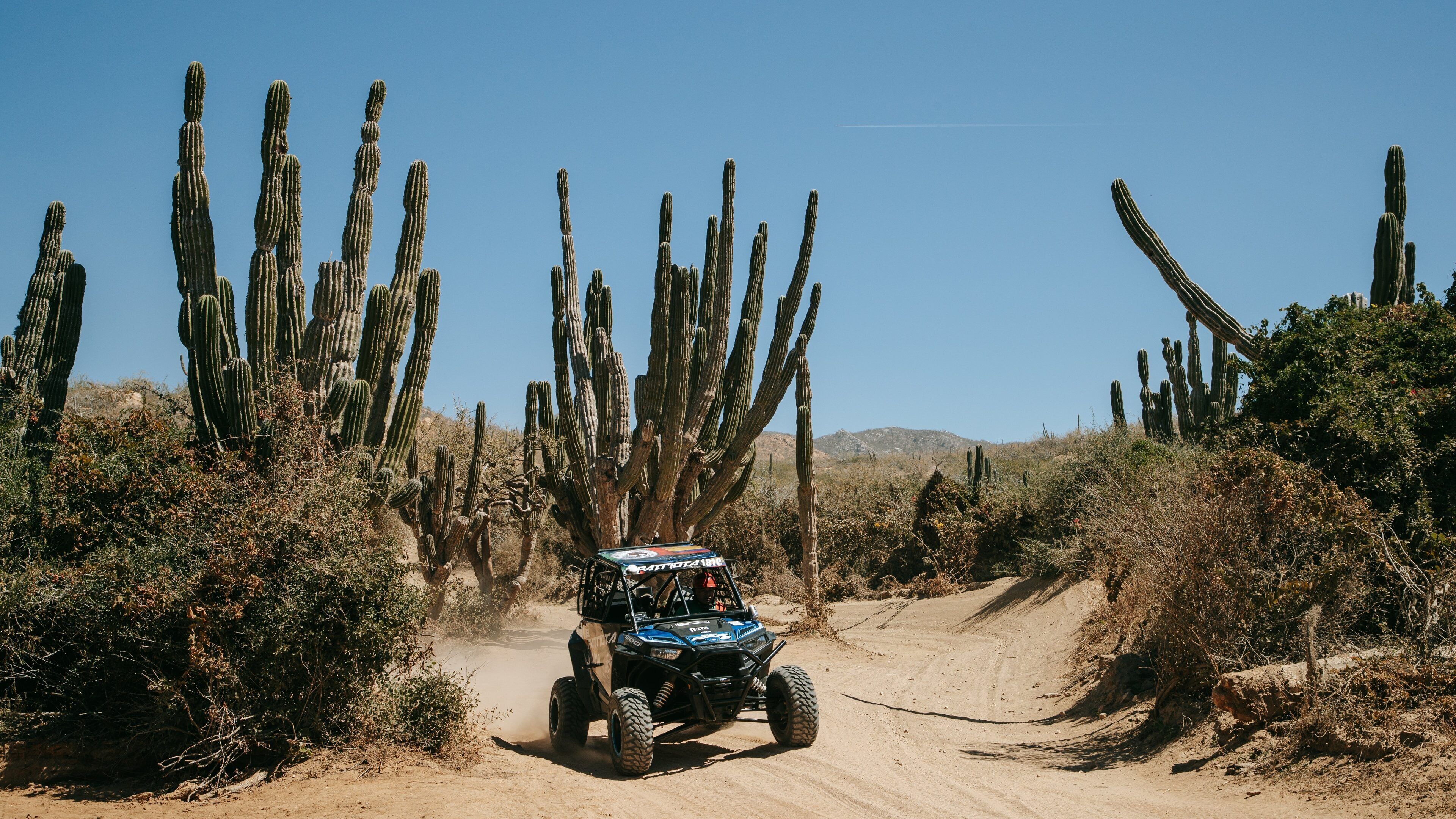 Migrino featuring desert views and off road driving