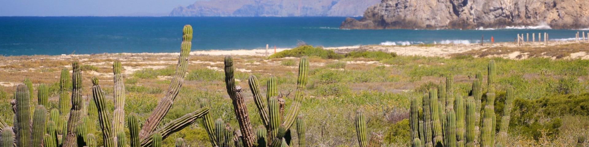 Migrino showing general coastal views