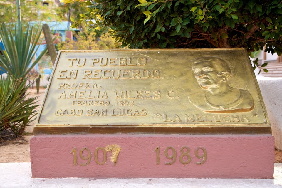 Una placa commemorativa amb un bust i text, envoltada de plantes.