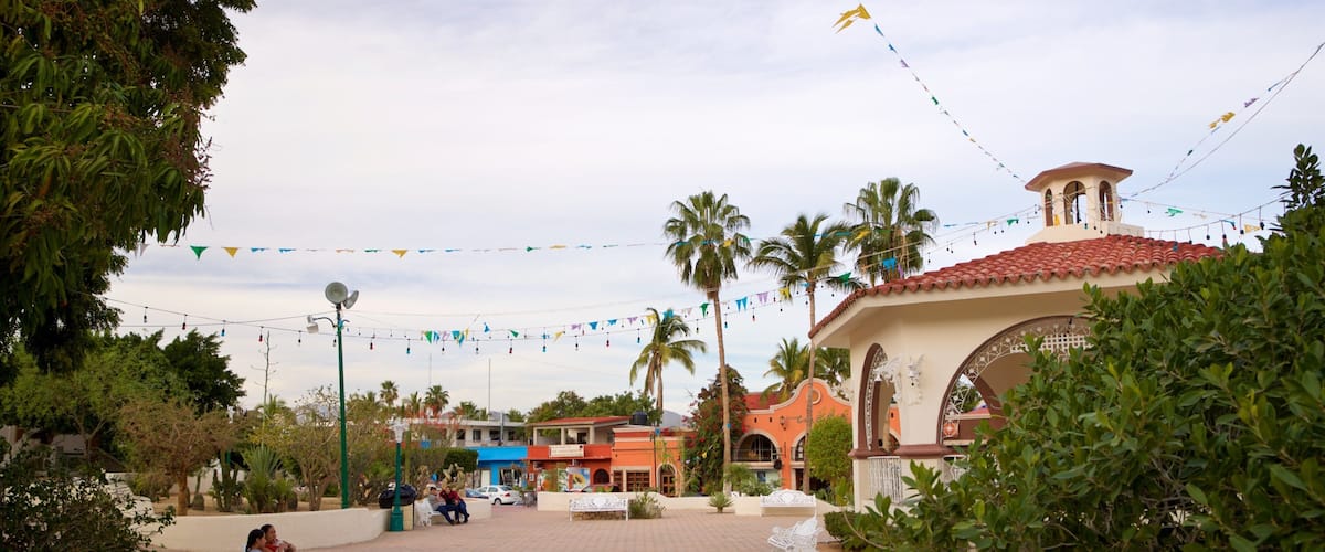 Amelia Wilkes Square featuring a garden