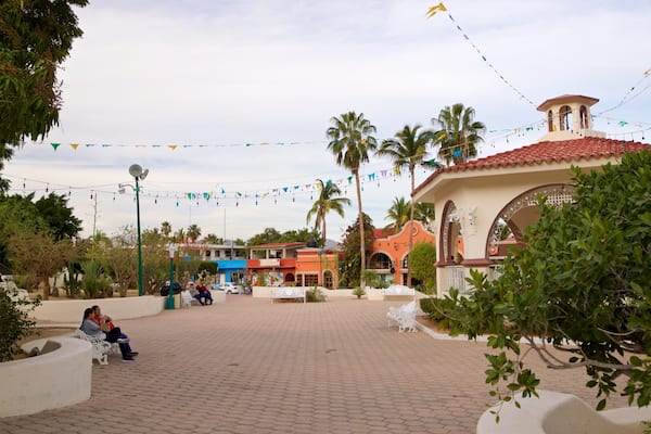 Amelia Wilkes Square featuring a garden