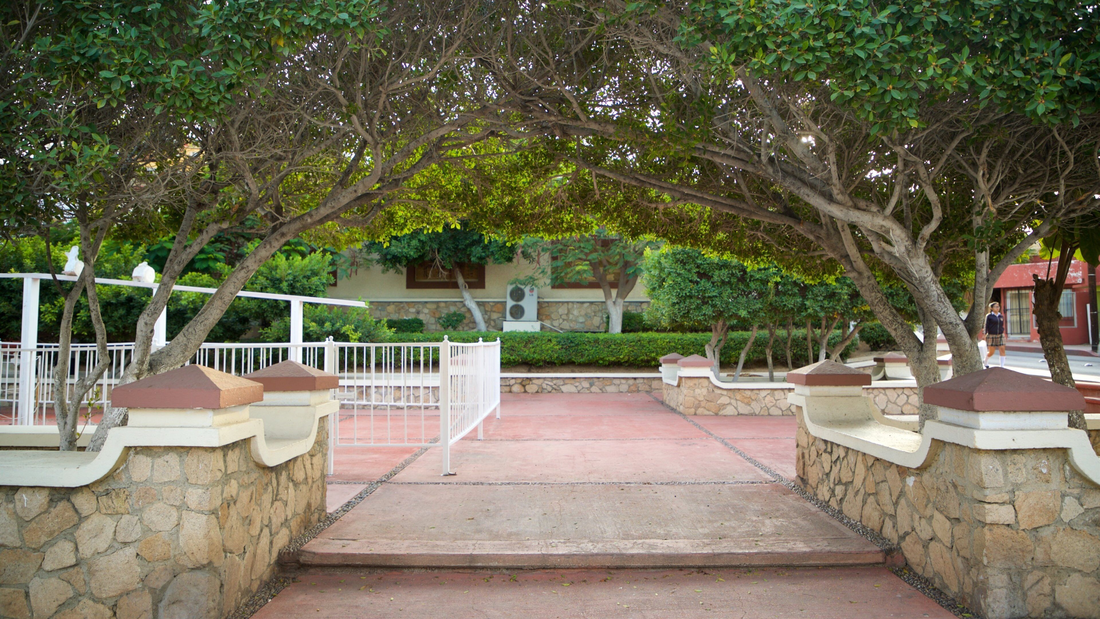 Amelia Wilkes Square which includes a garden