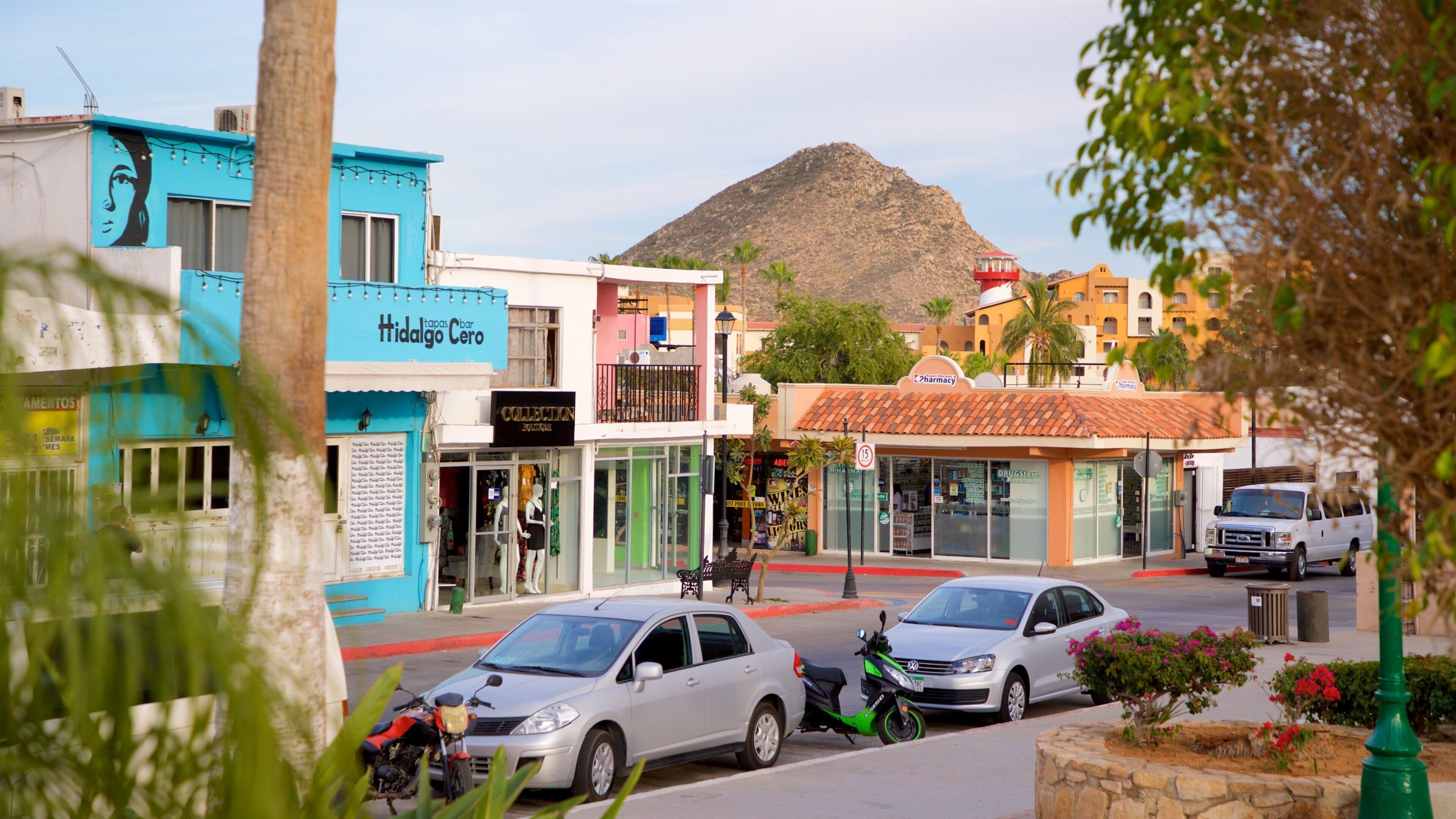 Amelia Wilkes Square showing a small town or village