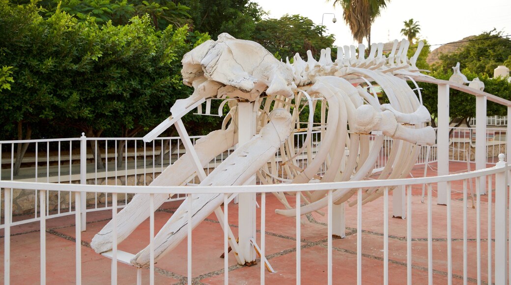 Amelia Wilkes Square featuring outdoor art