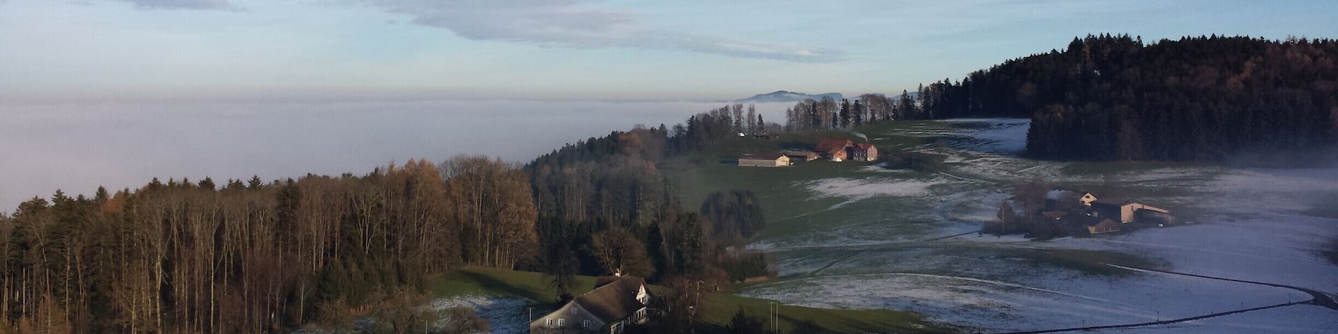 NO EDITING: morning glory on the Eppenberg in Oberuwzil. Right over the sea of fog #lovemytown