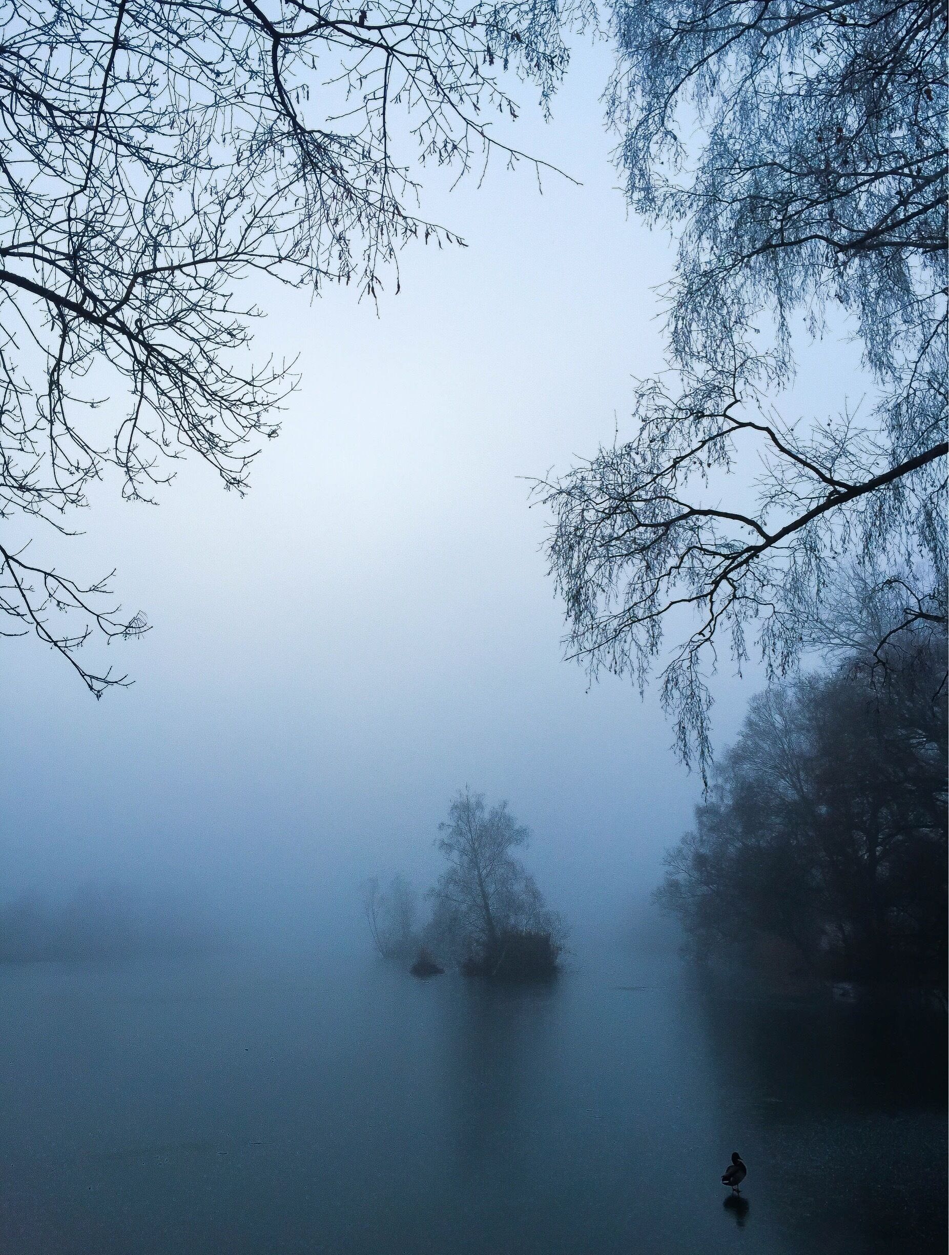 Frozen Lake #WinterWonders