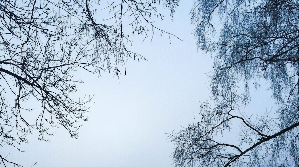 Frozen Lake #WinterWonders