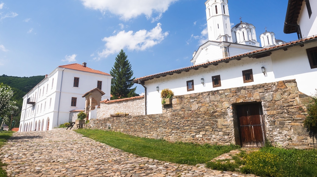 Saint Prohor of Pcinja Monastery, one of the oldest Serbian monasteries, 11th century
