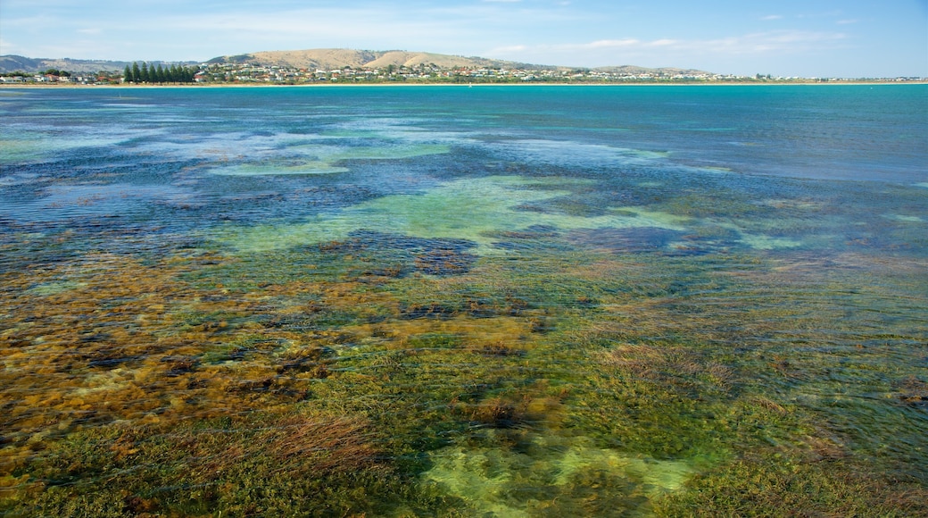 Granite Island featuring island views, coral and general coastal views