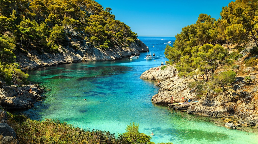 Amazing Calanques De Port Pin in Cassis, near Marseille, France