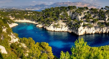 calanque de port pin