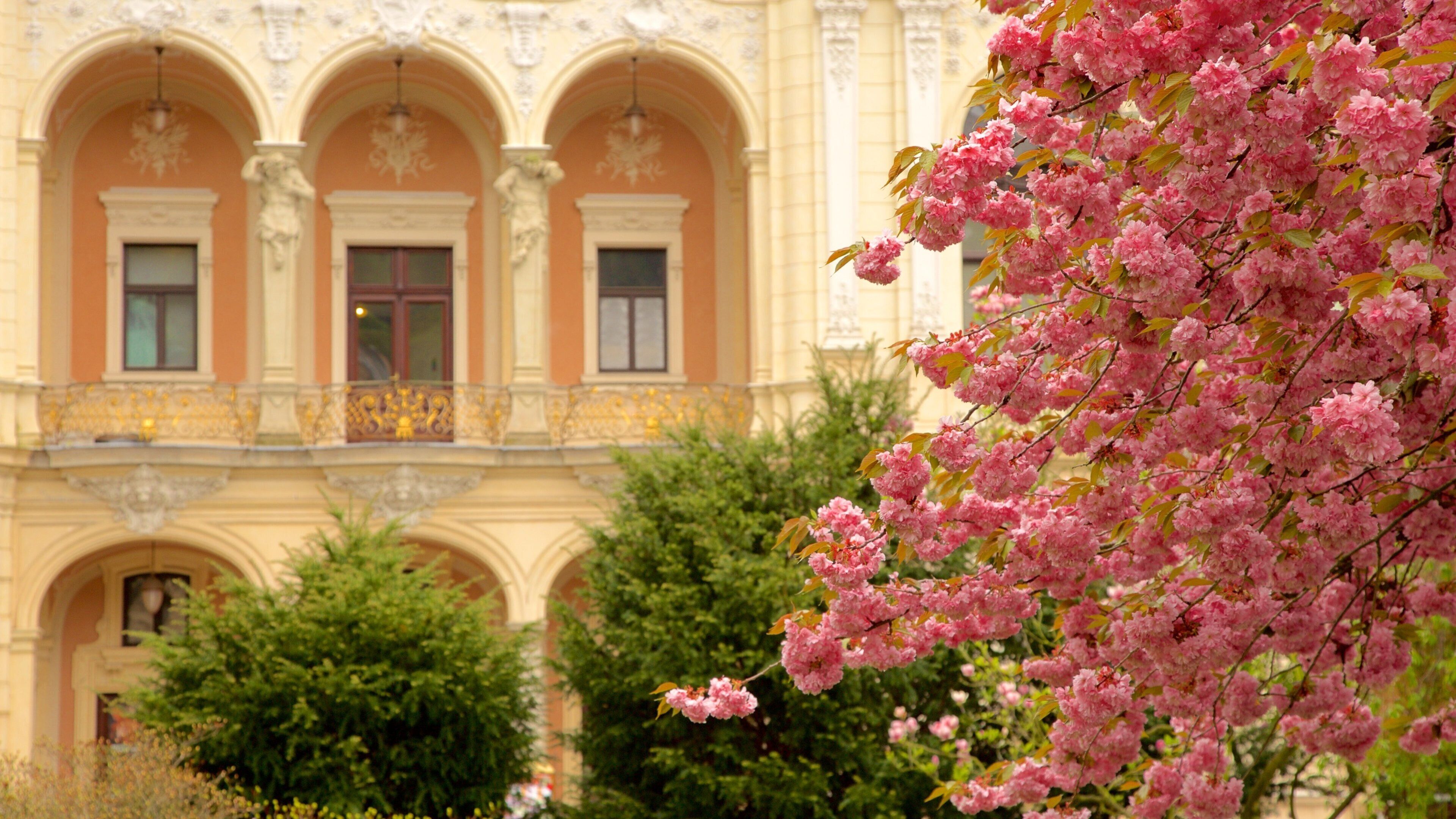 Karlovy Vary Municiple Theater which includes heritage elements and flowers