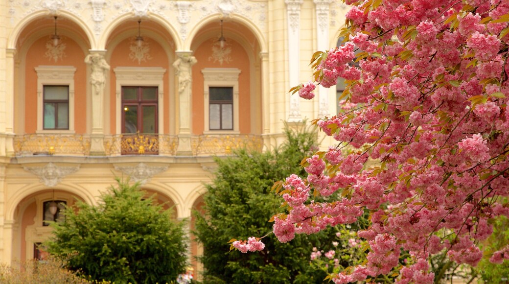 Stadsschouwburg van Karlovy Vary toont historisch erfgoed en bloemen