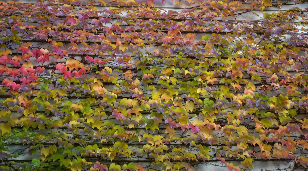 อัปทาวน์