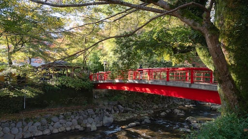 Autumn scenery at Katsura River in Shuzenji, an onzen town in Izu, Shizuoka, Japan