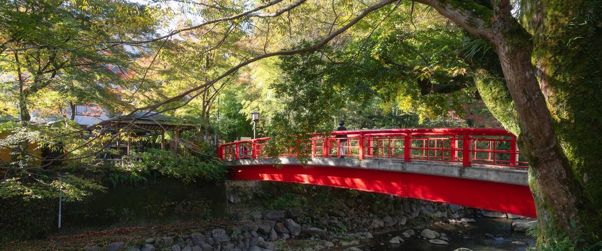 A red bridge over a flowing stream, surrounded by lush greenery and trees.