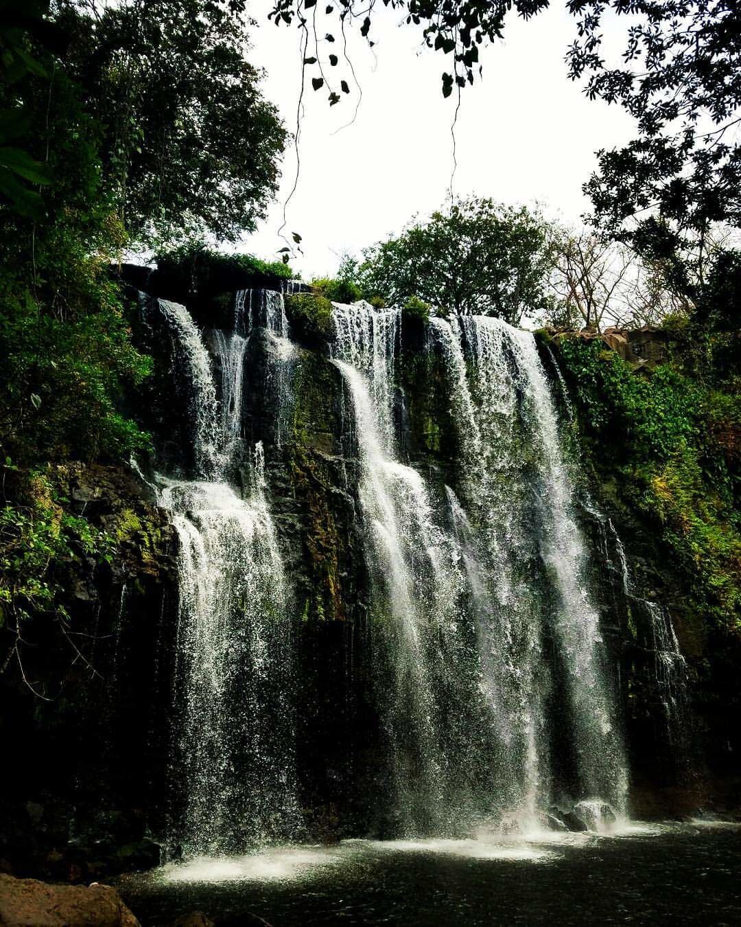 A trip that would have been better alone.