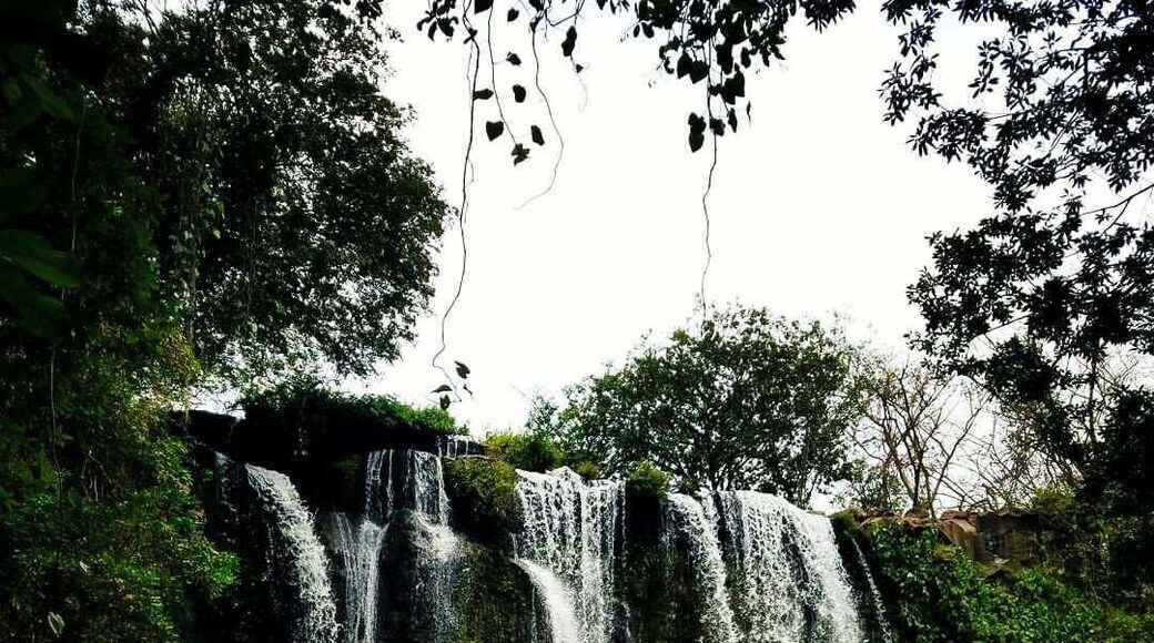 A trip that would have been better alone.