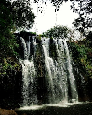 A trip that would have been better alone.