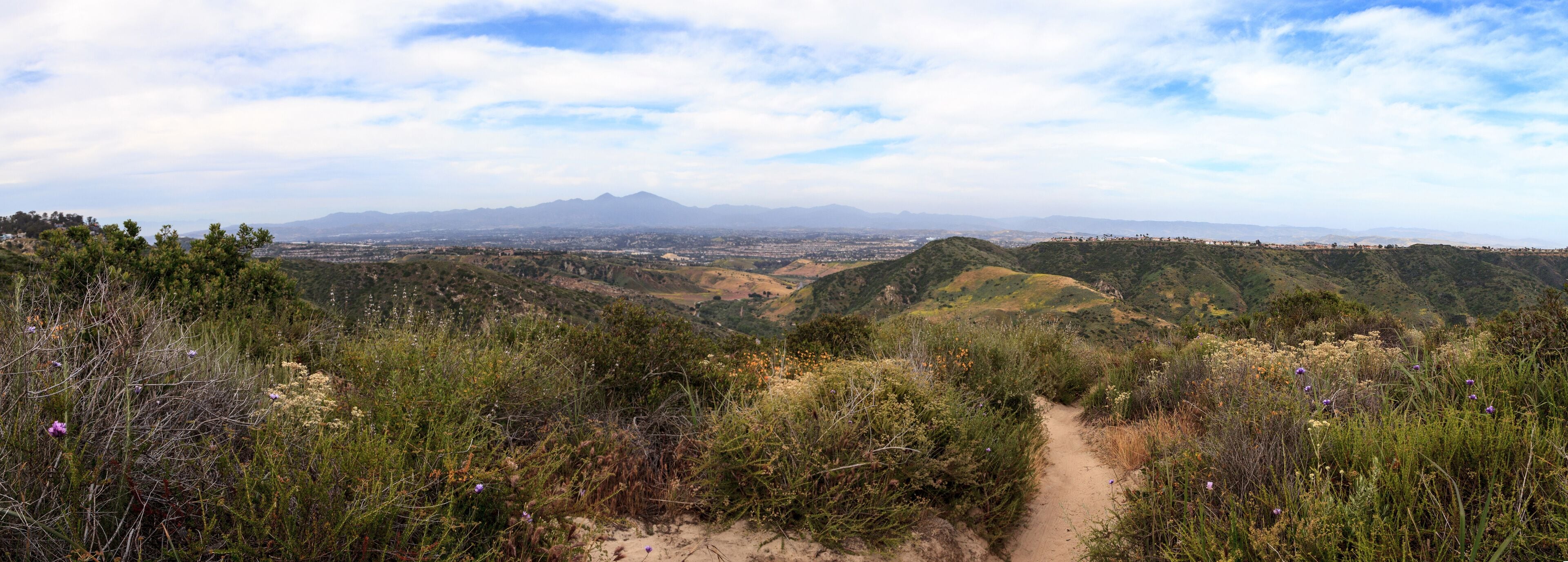 Aliso and Wood Canyons Wilderness Park hiking paths in Laguna Beach