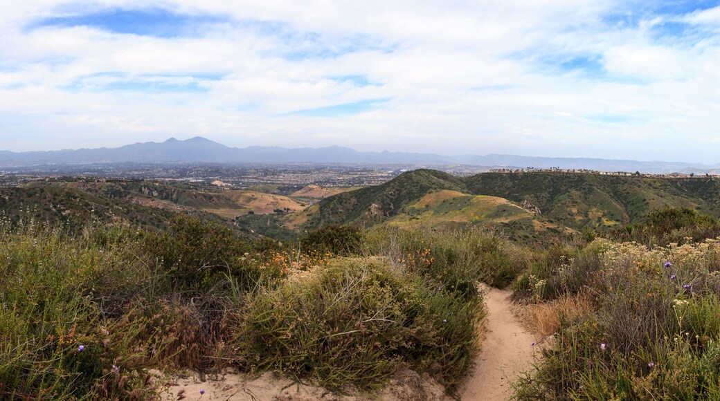 Aliso and Wood Canyons Wilderness Park hiking paths in Laguna Beach
