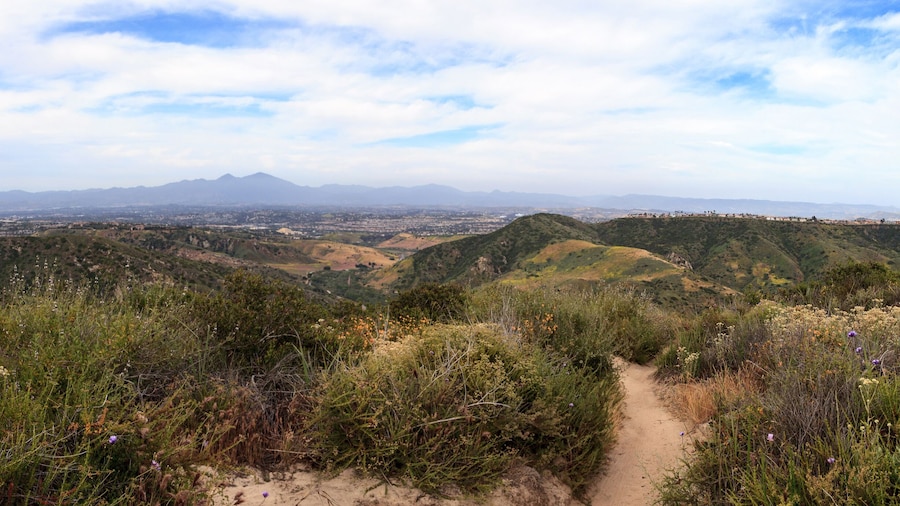 アリソ アンド ウッド キャニオン ウィルダネス パーク