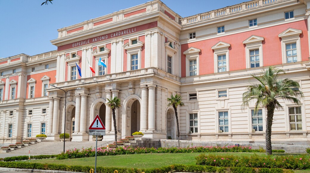 Zona Ospedaliera showing heritage architecture, a garden and flowers
