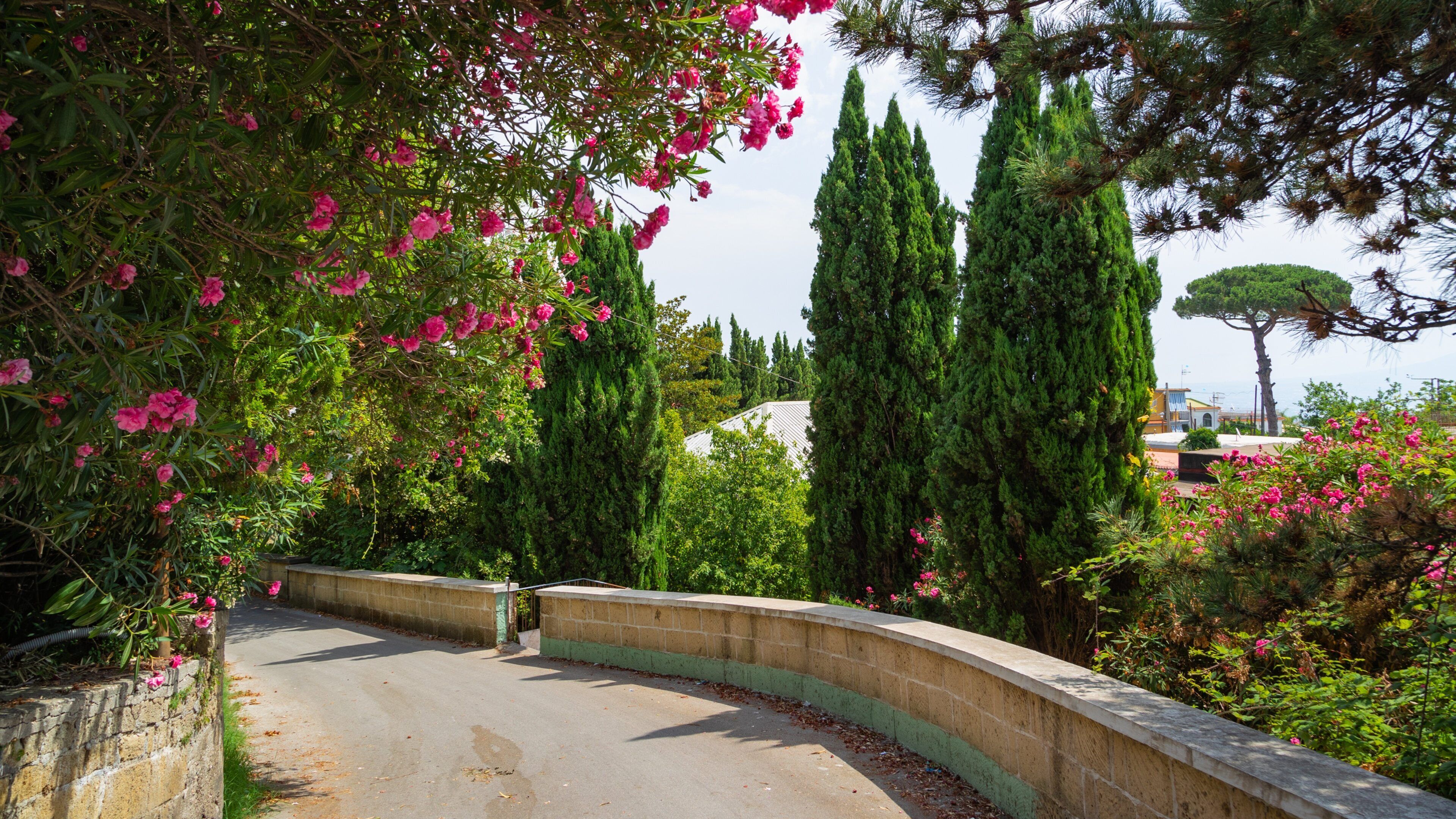 Zona Ospedaliera showing a park and wildflowers