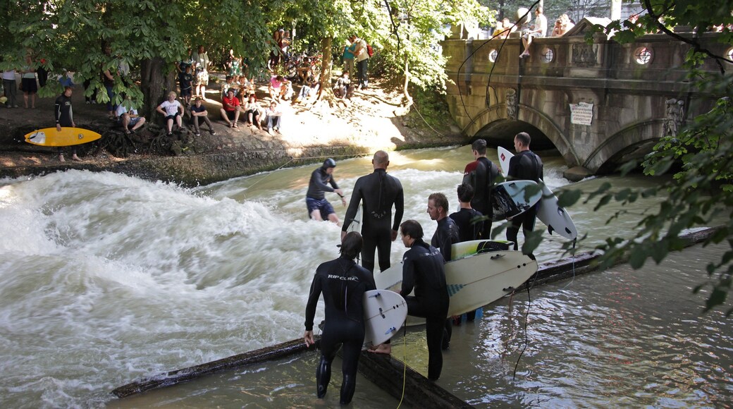 Eisbach Surfing showing rapids, a river or creek and surfing