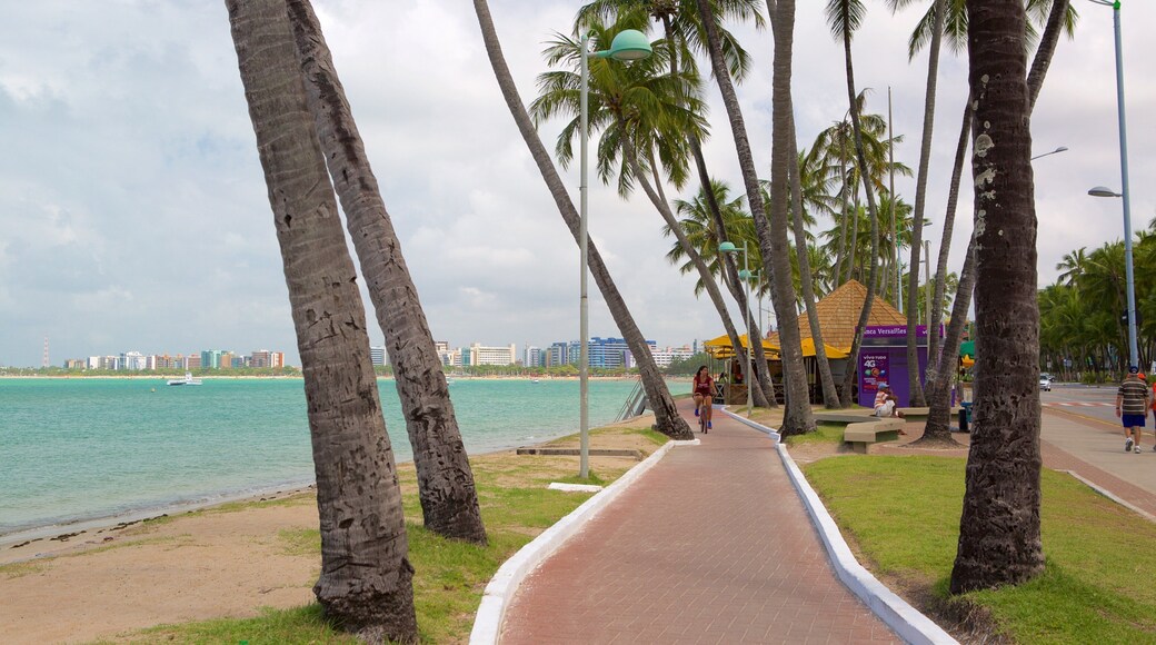 Praia de Ponta Verde welches beinhaltet allgemeine Küstenansicht