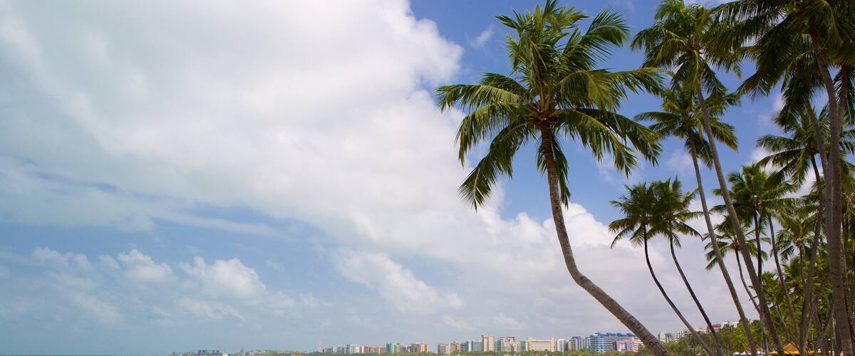 Ponta Verde Beach showing tropical scenes, general coastal views and a beach