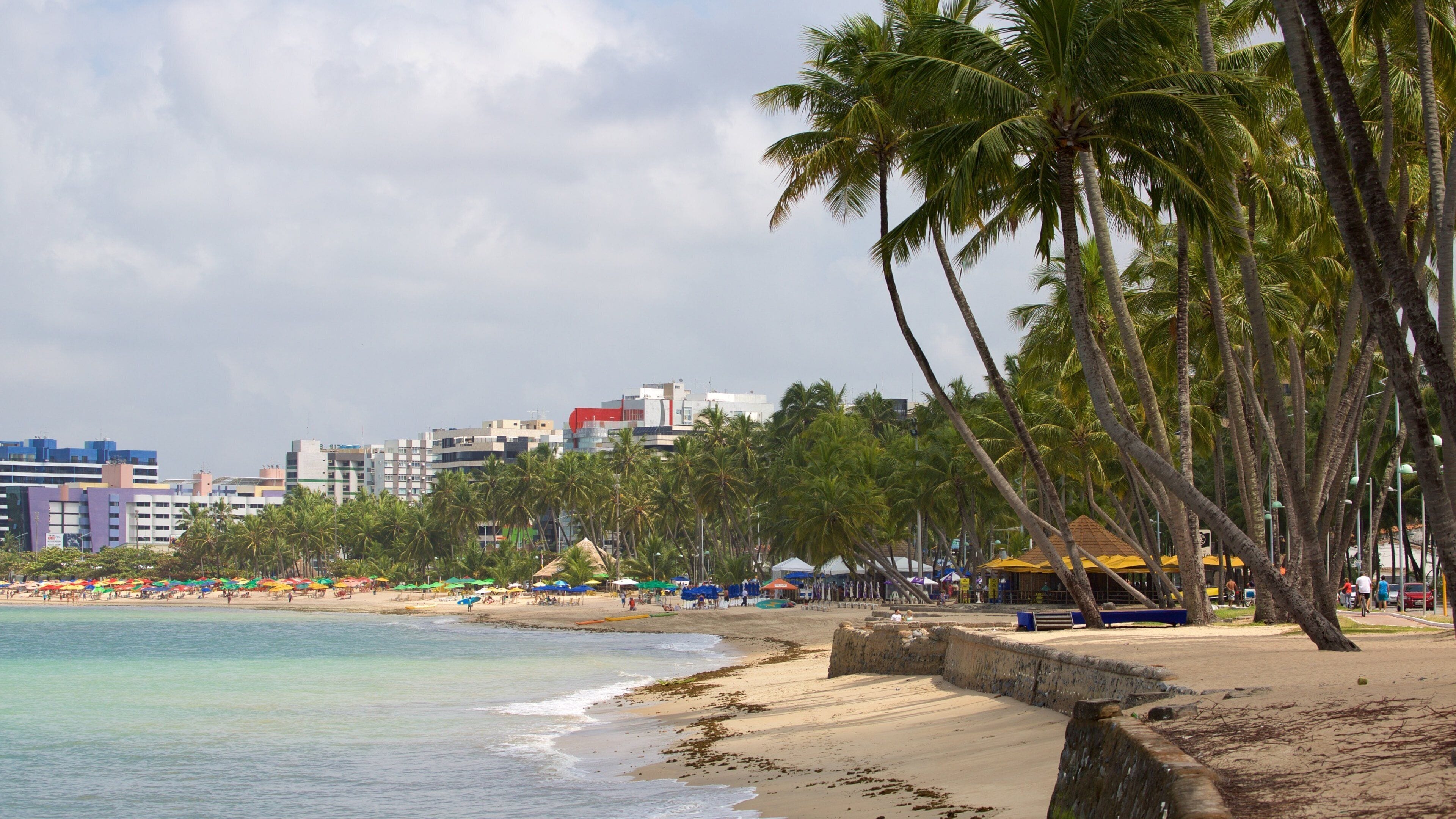 A beach with palm trees, umbrellas, and buildings in the background.