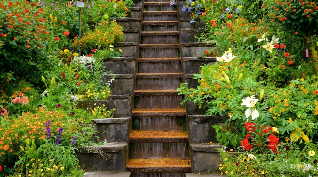Friedrichshafen Promenade showing wildflowers and a park