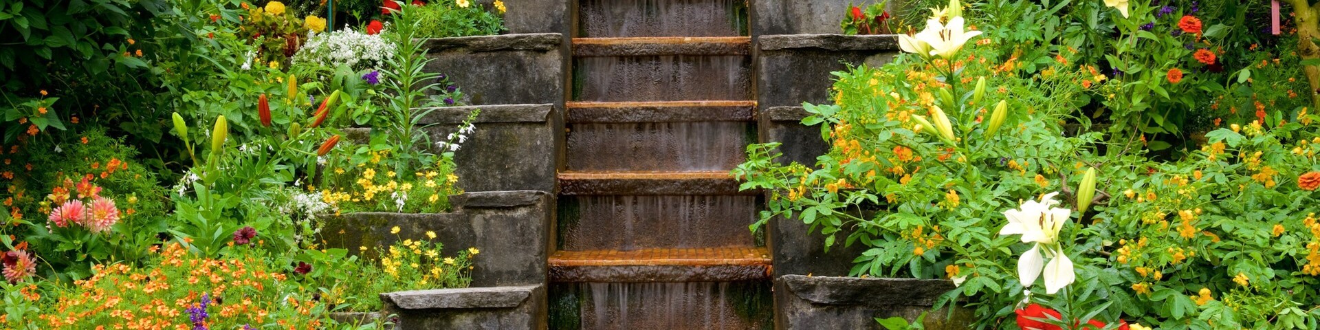 Friedrichshafen Promenade showing wildflowers and a park