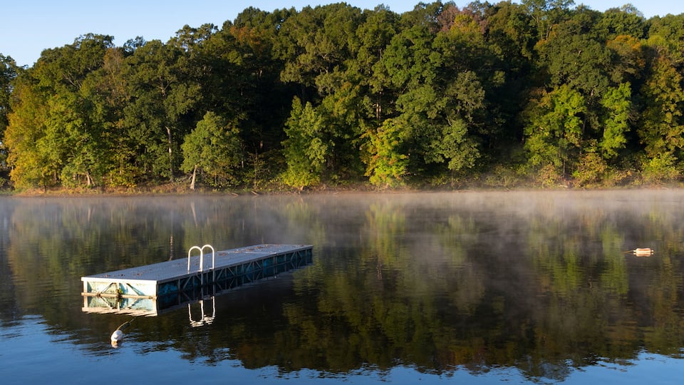 A dock extending into calm water with a forested shoreline in the background.
