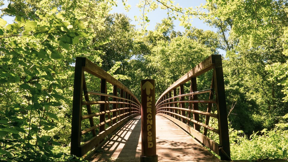 A wooden bridge with railings labeled "Heron Pond".