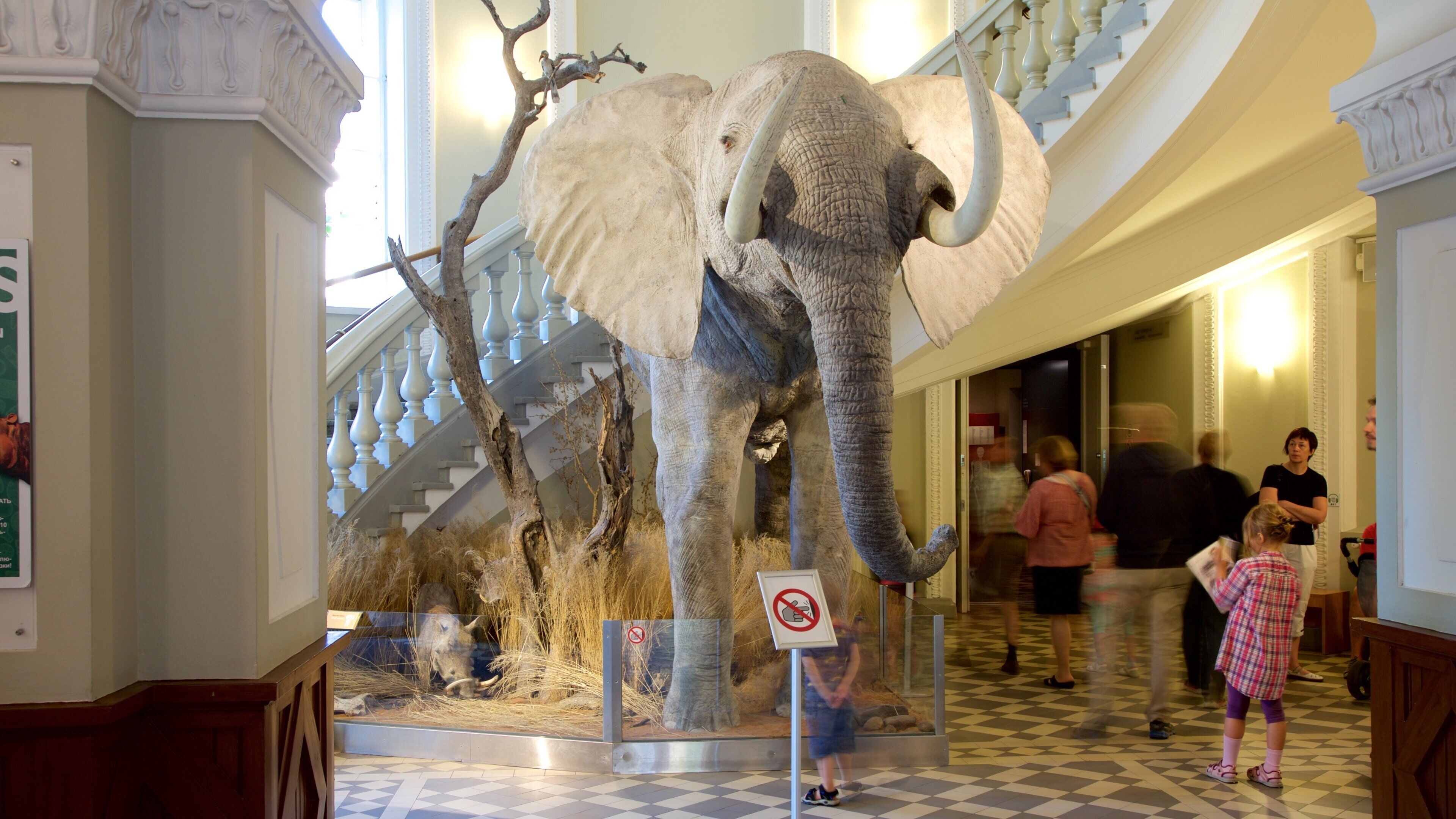 Museo de Historia Natural de Helsinki