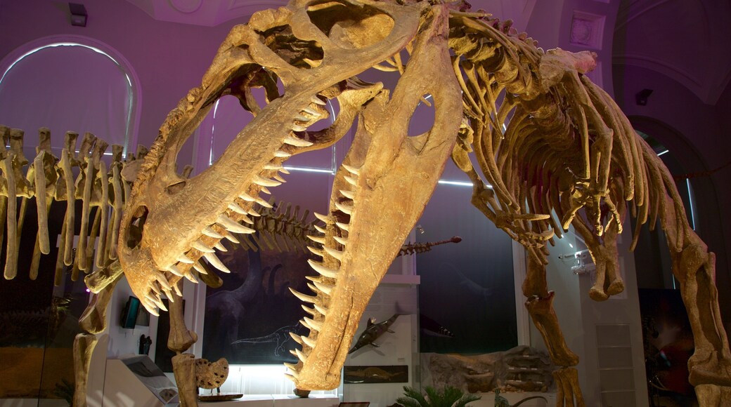 Museu de HistĂłria Natural de Helsinki