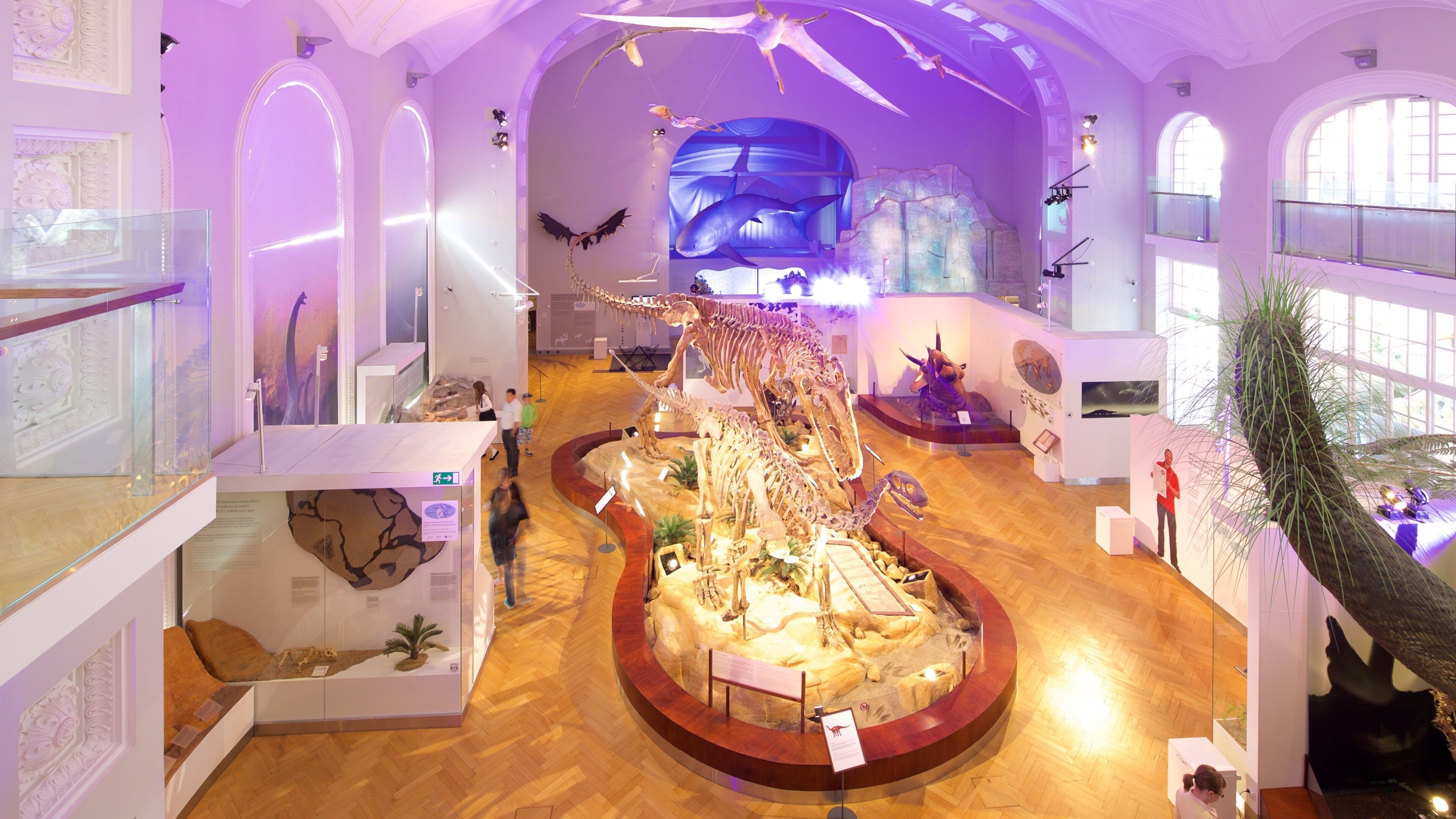 Naturhistorisches Museum von Helsinki