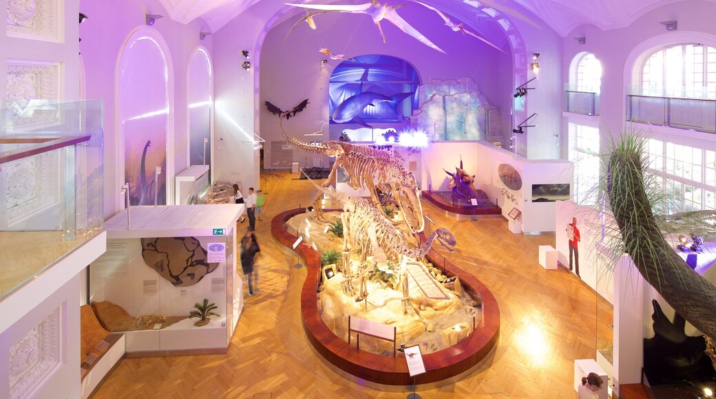 Naturhistorisches Museum von Helsinki