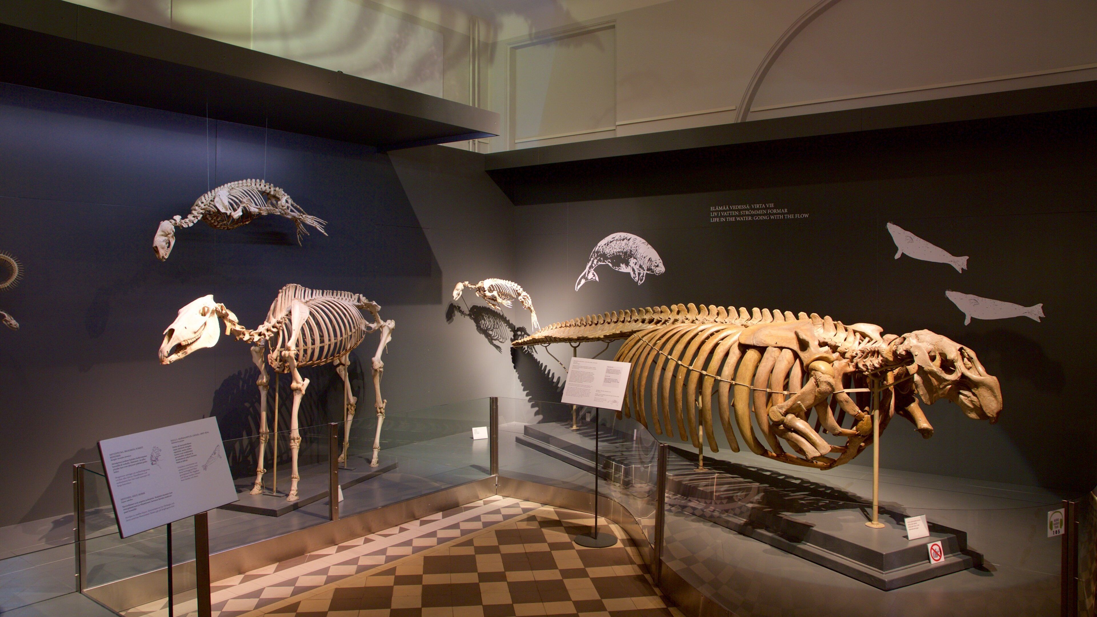 Naturhistoriska museet i Helsingfors