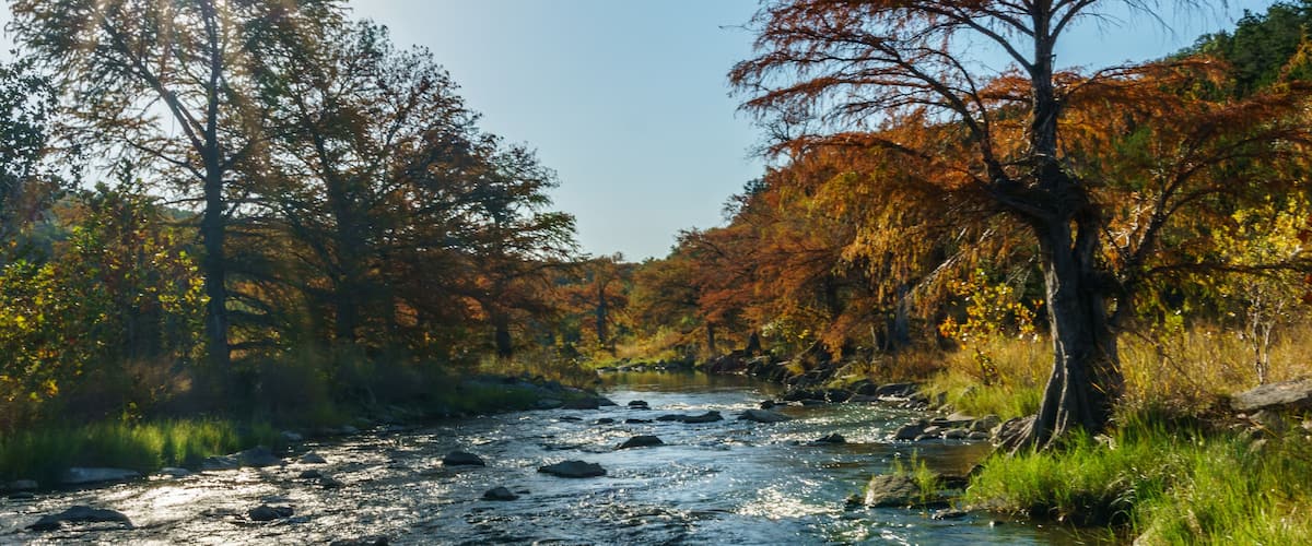 A river flowing through a forest with autumn-colored trees and sunlight reflecting off the water.