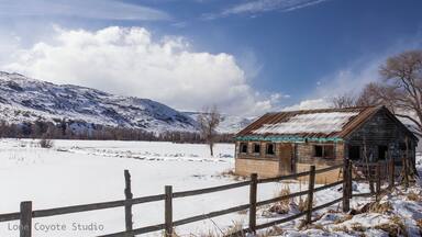 Took advantage of a clear brisk winter day in Utah to take some photos. Saw this amazing view while driving on a back road in a rural area near Peoa, Utah.
#highplains #rural_landscapes #winterpastures #horsepasture #stateroad32#kamas#peoa #kamasvalley #oakley #promontory #utahwinters #sageplains #ruralfarmhouses #snowandfields #roadsidephotography #ruraladventures #ruralphotographer #utahlivingatitsfinest #colorandsnow #simplelandscape #lookingforcolor #losingagainsttime #yearsgoneby #lonecoyotestudio #nealdodson
