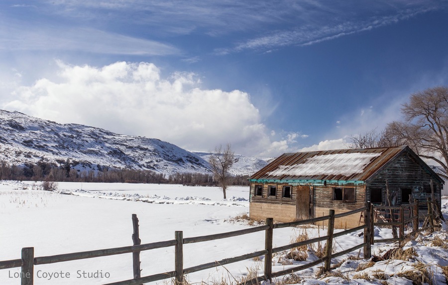 Took advantage of a clear brisk winter day in Utah to take some photos. Saw this amazing view while driving on a back road in a rural area near Peoa, Utah.
#highplains #rural_landscapes #winterpastures #horsepasture #stateroad32#kamas#peoa #kamasvalley #oakley #promontory #utahwinters #sageplains #ruralfarmhouses #snowandfields #roadsidephotography #ruraladventures #ruralphotographer #utahlivingatitsfinest #colorandsnow #simplelandscape #lookingforcolor #losingagainsttime #yearsgoneby #lonecoyotestudio #nealdodson